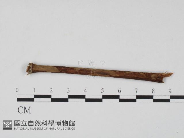 登錄號:F0004551藏品圖，第1張