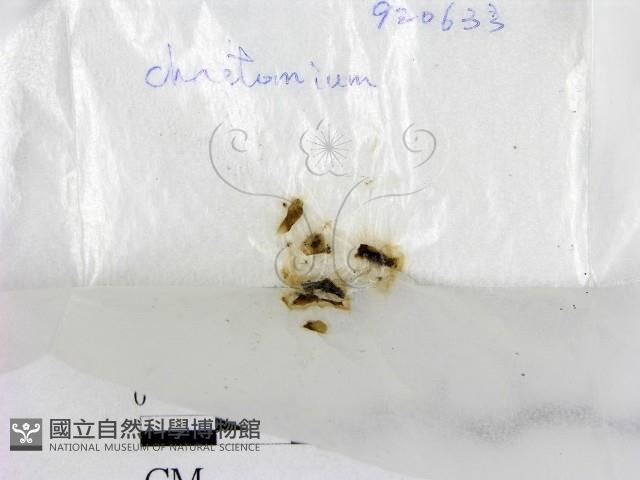 登錄號:F0015551藏品圖，第1張