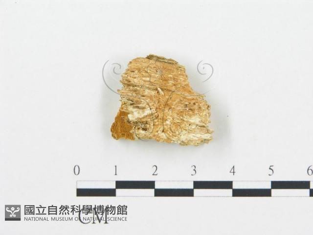 登錄號:F0009551藏品圖，第1張