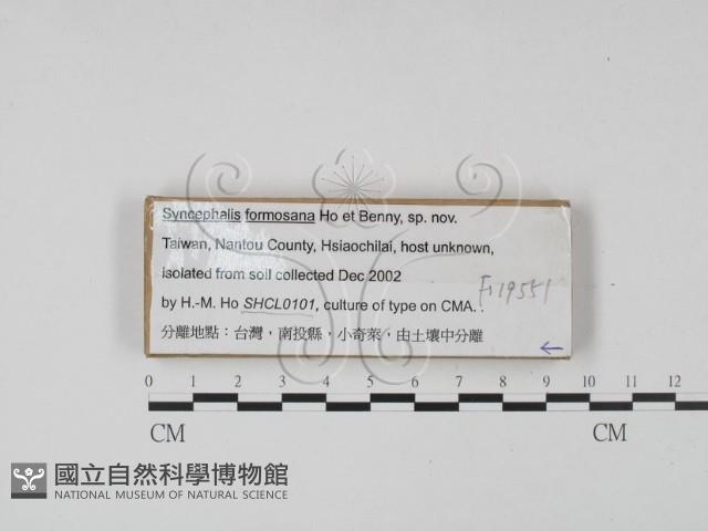 登錄號:F0019551藏品圖，第1張