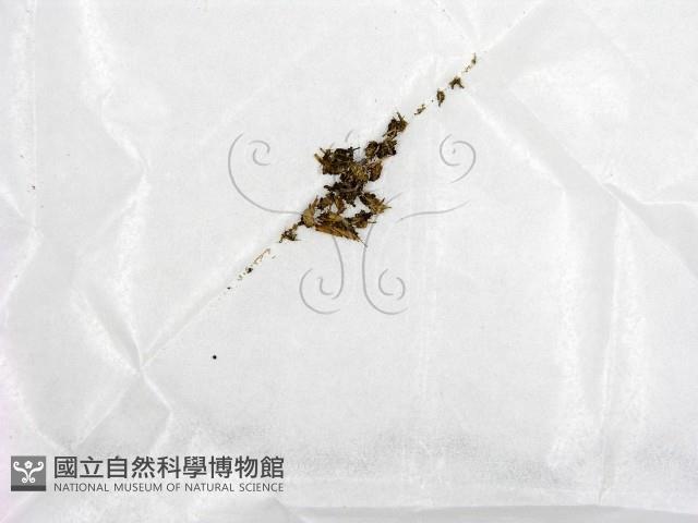 登錄號:F0000151藏品圖，第1張