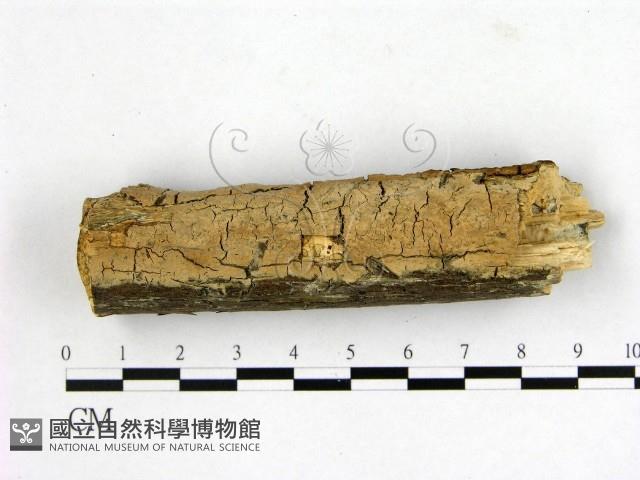 登錄號:F0022151藏品圖，第1張