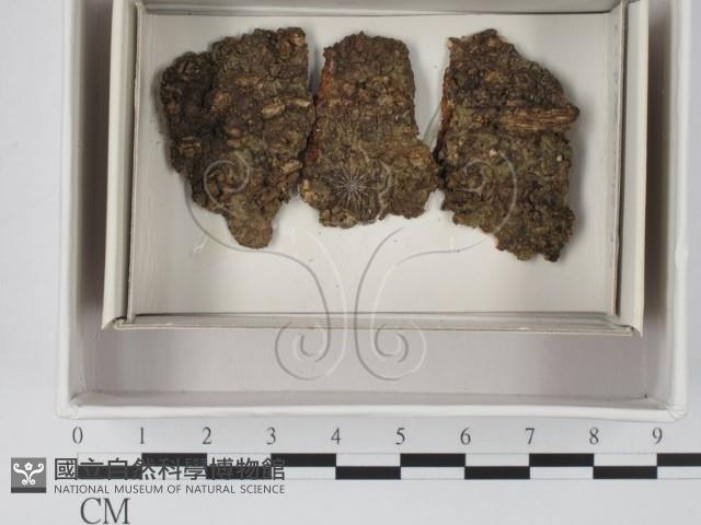 登錄號:F0018051藏品圖，第1張