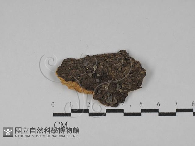 登錄號:F0029051藏品圖，第1張