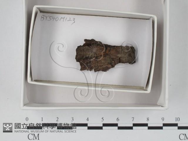 登錄號:F0018351藏品圖，第1張
