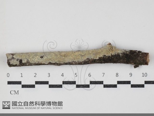 登錄號:F0034351藏品圖，第1張