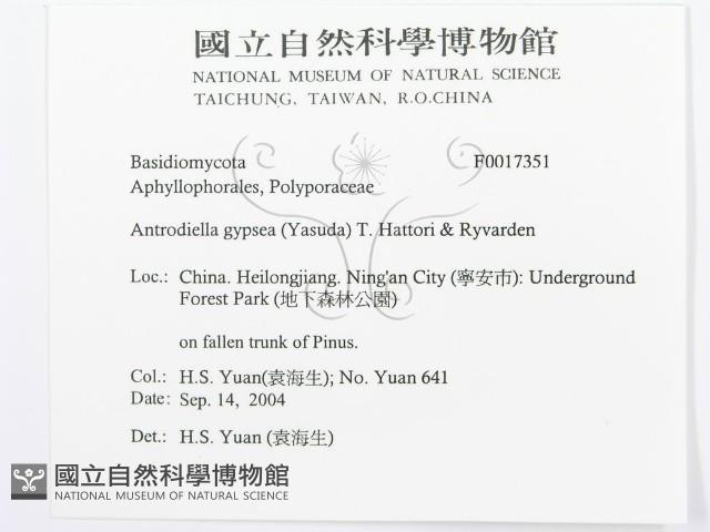 登錄號:F0017351藏品圖，第3張