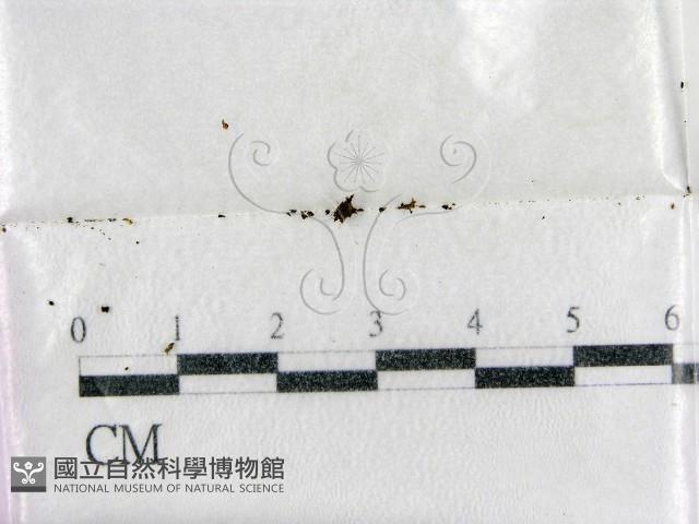 登錄號:F0002241藏品圖，第1張