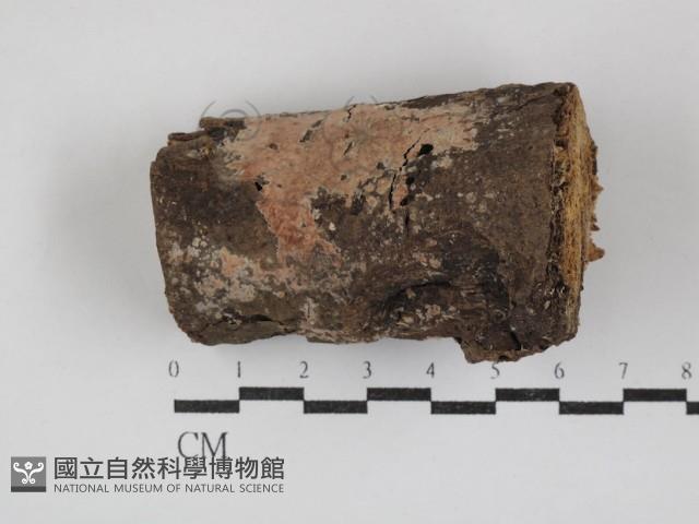 登錄號:F0030841藏品圖，第1張