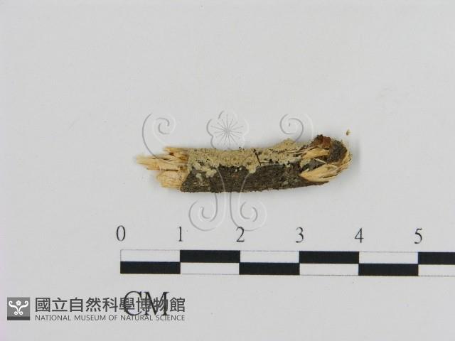 登錄號:F0002841藏品圖，第1張