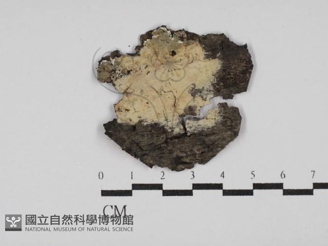 登錄號:F0029841藏品圖，第1張