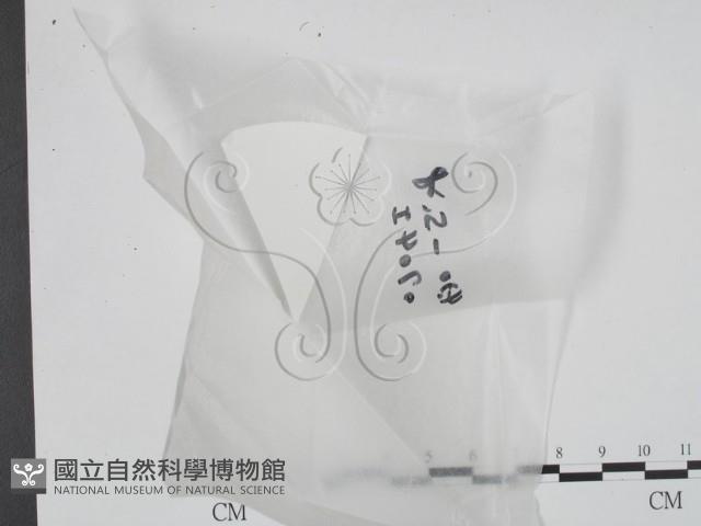 館號:F0020941藏品圖，第1張
