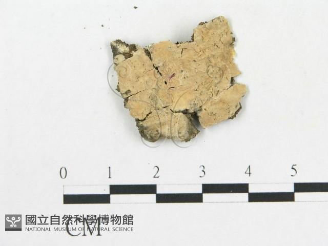 登錄號:F0016941藏品圖，第1張