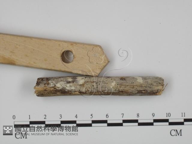 登錄號:F0007941藏品圖，第1張