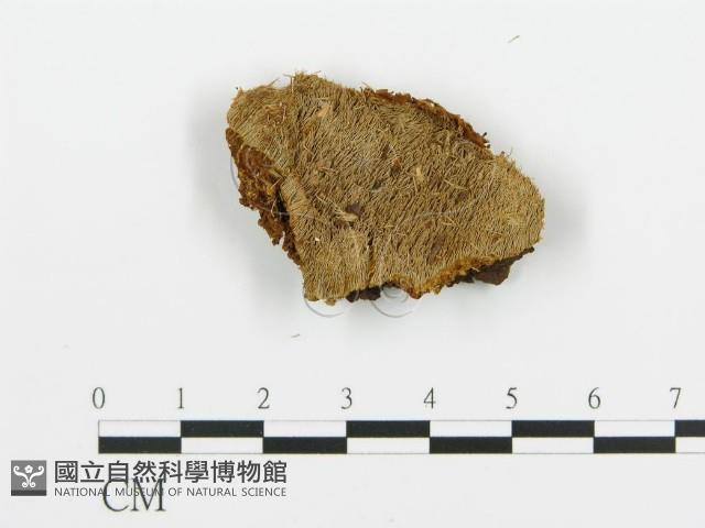 登錄號:F0013941藏品圖，第1張