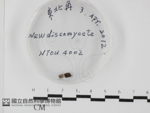 登錄號:F0026641藏品圖，第1張