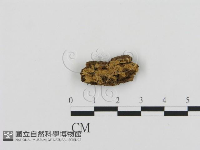 登錄號:F0016641藏品圖，第1張