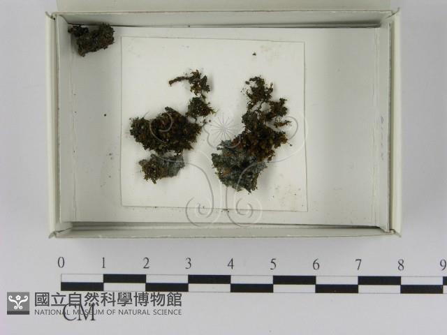 登錄號:F0021641藏品圖，第1張
