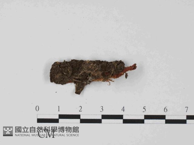 登錄號:F0014641藏品圖，第1張
