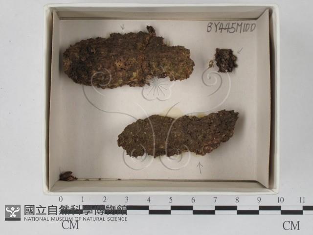 登錄號:F0018441藏品圖，第1張