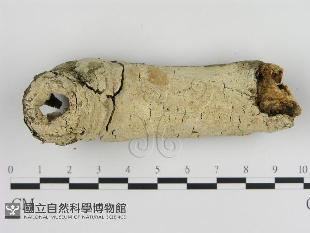 登錄號:F0020441藏品圖，第1張