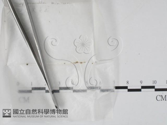 登錄號:F0001441藏品圖，第1張