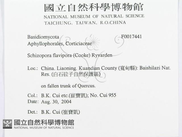 登錄號:F0017441藏品圖，第3張