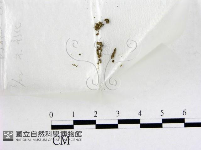 登錄號:F0003441藏品圖，第1張