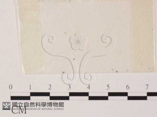 登錄號:F0000741藏品圖，第1張