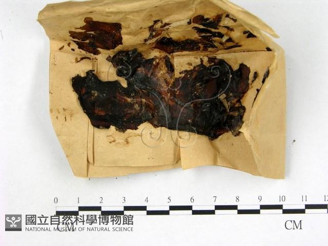 登錄號:F0007741藏品圖，第1張