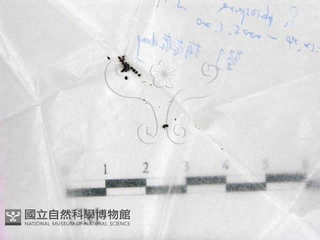 登錄號:F0017741藏品圖，第1張