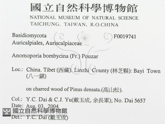 登錄號:F0019741藏品圖，第3張