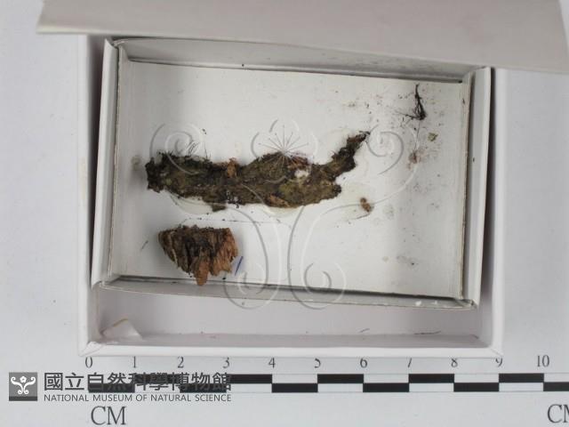 登錄號:F0020541藏品圖，第1張