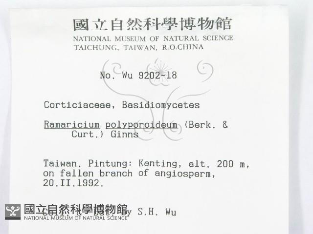 登錄號:F0000141藏品圖，第3張