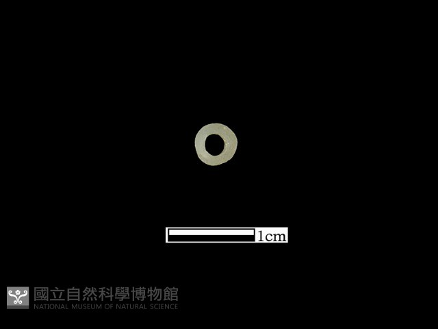 玻璃珠藏品圖，第1張