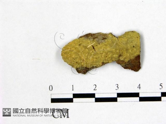 登錄號:F0022341藏品圖，第1張