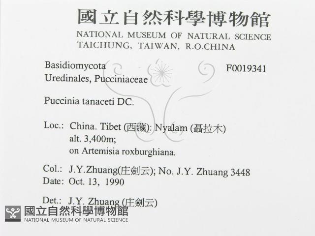 登錄號:F0019341藏品圖，第3張
