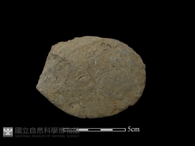 石片器藏品圖，第2張