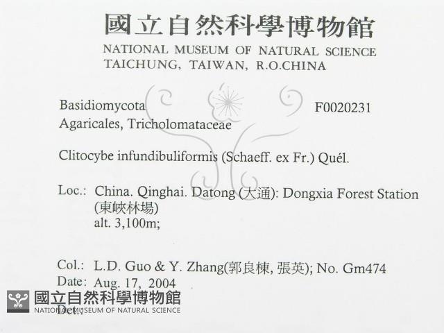 登錄號:F0020231藏品圖，第3張