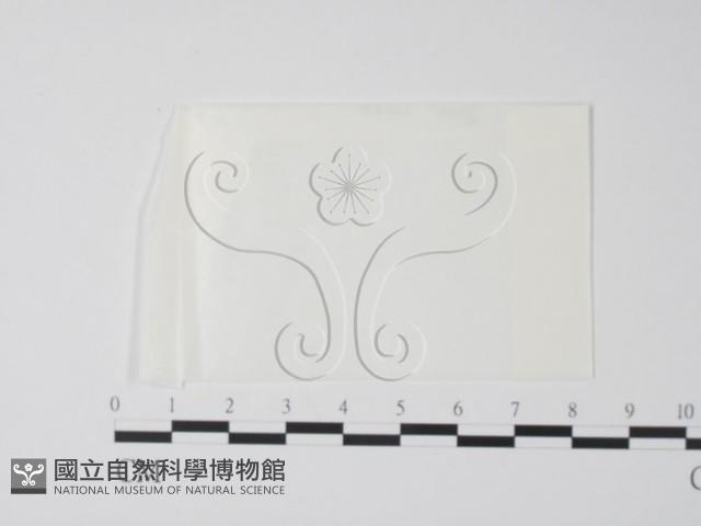 登錄號:F0000231藏品圖，第1張