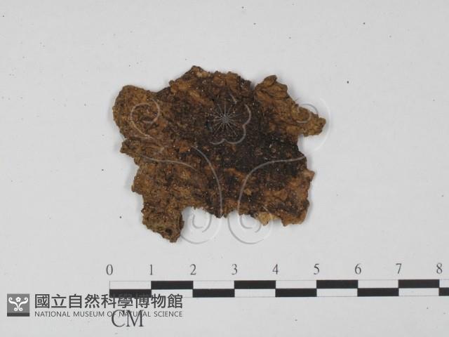 登錄號:F0010231藏品圖，第1張