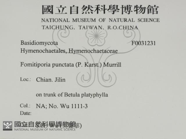 登錄號:F0031231藏品圖，第3張