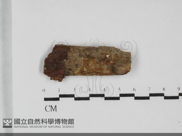 登錄號:F0032231藏品圖，第1張