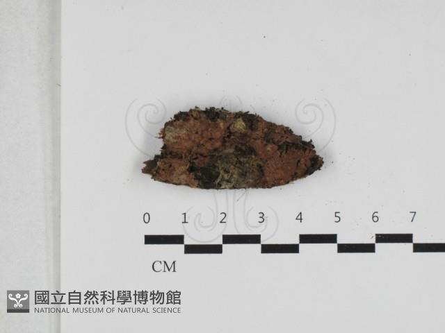 登錄號:F0033231藏品圖，第1張