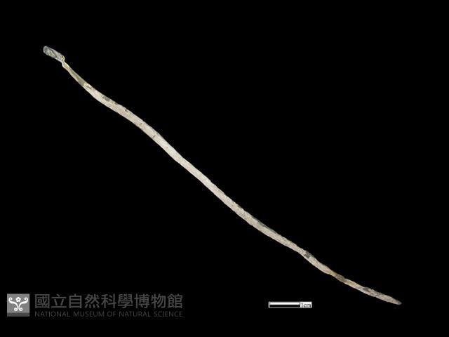 髮簪藏品圖，第2張