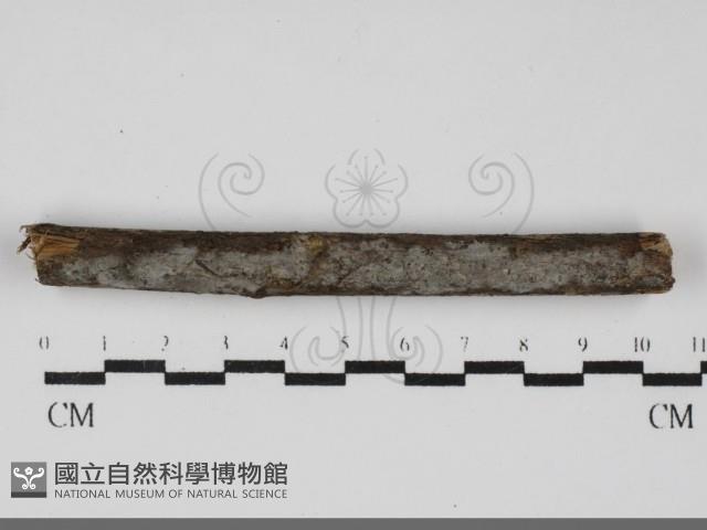 登錄號:F0031931藏品圖，第1張