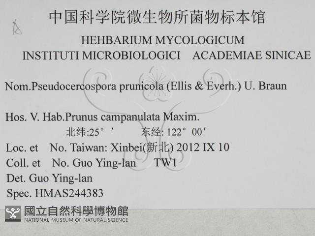 登錄號:F0027931藏品圖，第3張