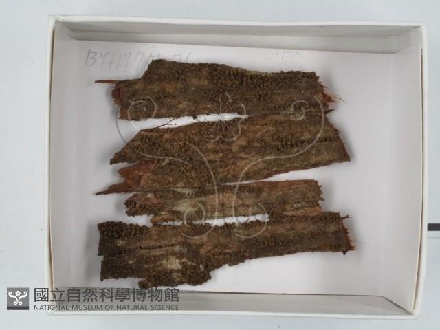 登錄號:F0018631藏品圖，第1張