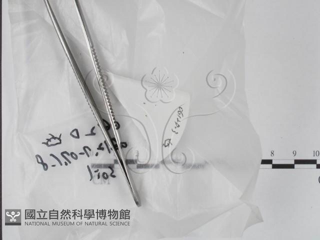登錄號:F0020631藏品圖，第1張