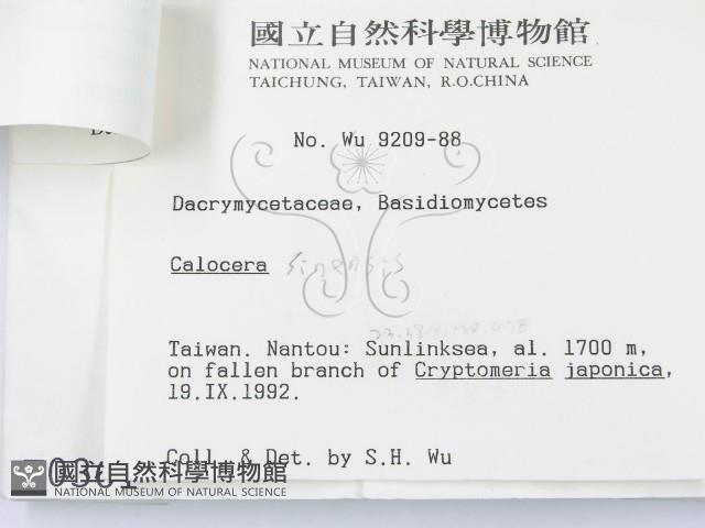 登錄號:F0000631藏品圖，第3張